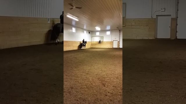 Stephanie on Bauke смотреть онлайн