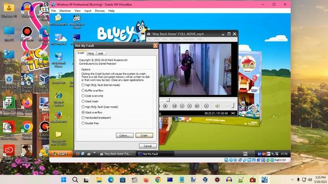 Windows XP BSOD 1437 (2023) смотреть онлайн