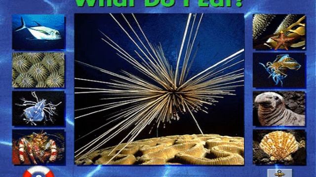 What Do I Eat? From Undersea Adventure MS-DOS/Packard Bell Version смотреть онлайн