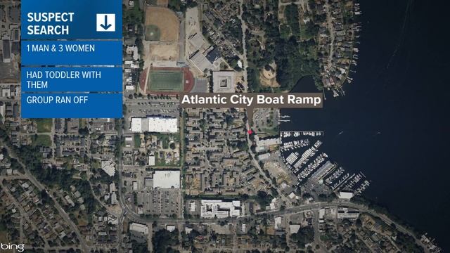 Seattle police search for suspects who attacked, robbed a Lyft driver смотреть онлайн