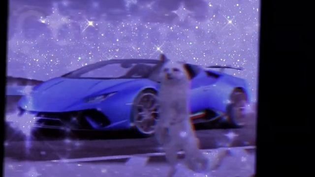Хочу себе сине сине Ламборгини | meme | смотреть онлайн