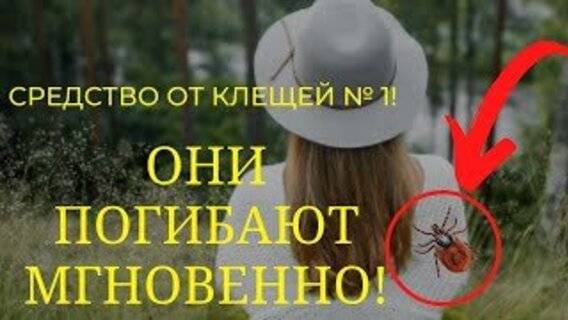 Средство от клещей №1!!! Они погибают МГНОВЕННО!!! смотреть онлайн