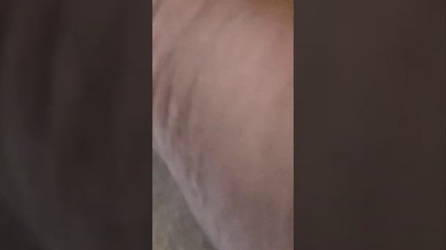 1955 RS. LINCOLN CENT . смотреть онлайн