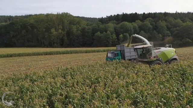 Siláže 2023 - CLAAS Jaguar 950 + Orbis 750 & Axion 870 + Strautmann & 2x TATRA AGRO смотреть онлайн