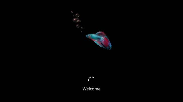All Windows error sounds V.2 смотреть онлайн