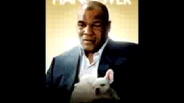 Hangover Stu's Song Tiger song смотреть онлайн