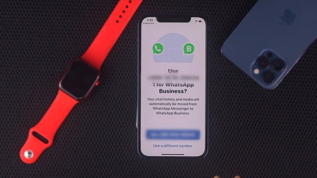 Easy USE Dual WhatsApp on One iPhone | 2 Whatsapp 2 Numbers 1 iPhone (How to USE without jailbreak) смотреть онлайн