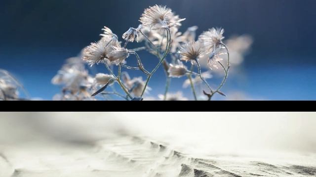 MY WALLPAPER COLLECTION | HD PC WALLPAPER | 1080P HD WALLPAPER | WALLPAPER 1 TO 144 смотреть онлайн