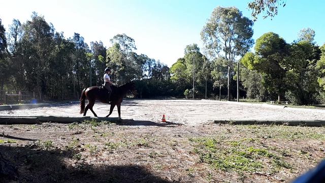 Hamon Park Wenergy (bridle no.7630) ridden by Keira Hawkey - Prelim 1c - 2 Aug 2020 смотреть онлайн