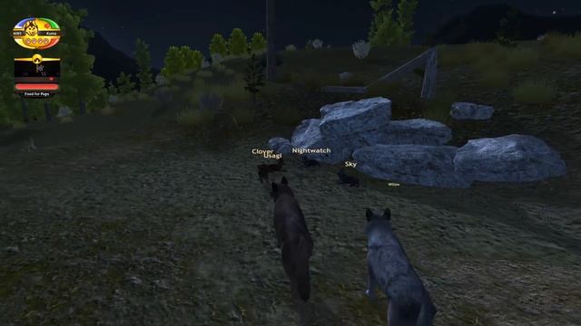 The Risk of Overly Curious Wolf Pups!! 🐺 Wolf Quest 2.7.2 - Bear & Wolf Season 🐺 Episode #8 смотреть онлайн