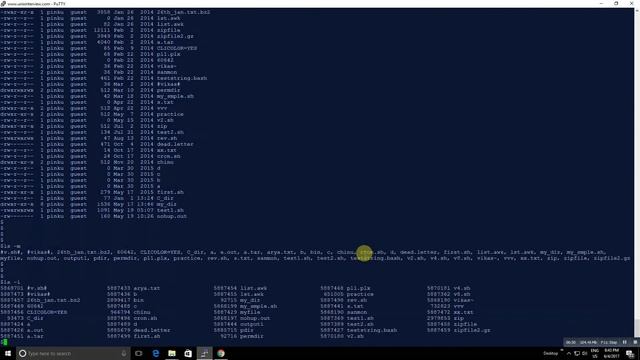 File Listing : "ls command" in Unix смотреть онлайн