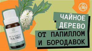 Масло чайного дерева от папиллом и бородавок