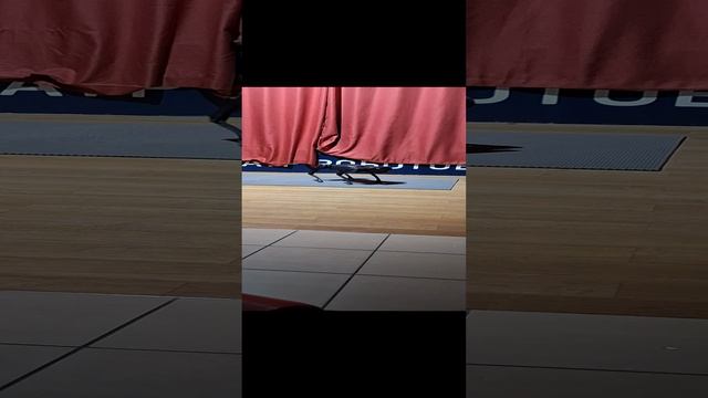 робо собака