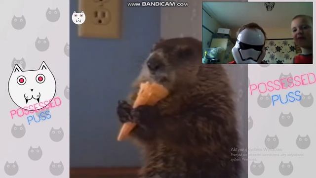 I WATCHED THE LOUDEST EARRAPE EVER D: смотреть онлайн