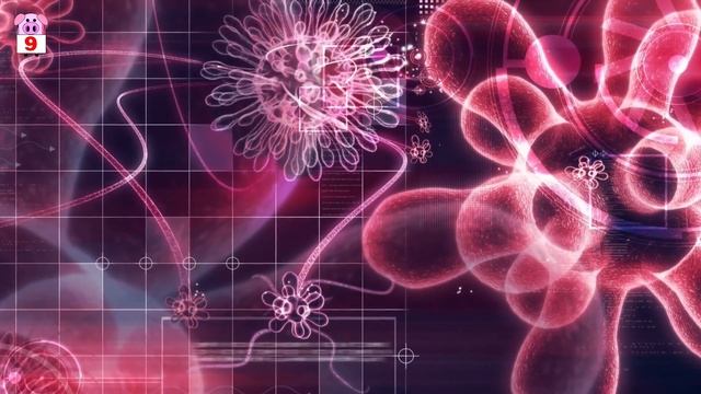 Beyond Computers- Computer Viruses & How To Stay Safe From Them смотреть онлайн