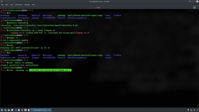 SALTINBANK LINUX POUR LES NULS - PAMSPY LEMON : le citron ça pique ! смотреть онлайн