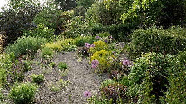 Garden Transformation with OSU Master Gardeners 2024 смотреть онлайн