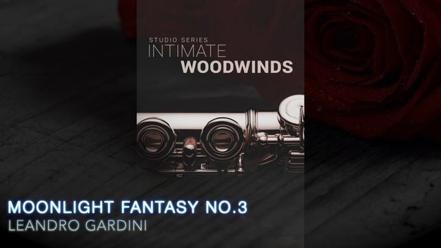 Moonlight Fantasy no.3 by Leandro Gardini (Official demo of 8dio Studio Woodwinds) смотреть онлайн