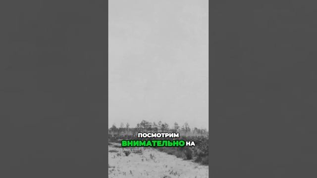 Тайное сообщество Теслы и Тунгусский инцидент смотреть онлайн