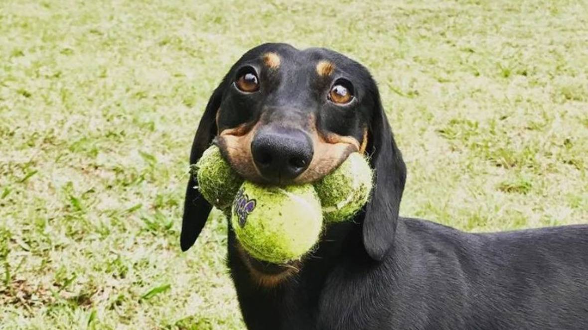 Соня говорит. смотреть онлайн