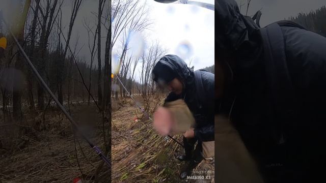 Хариус Окавалок