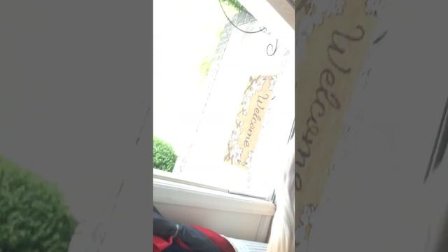 I found a killer clown mask outside my window смотреть онлайн