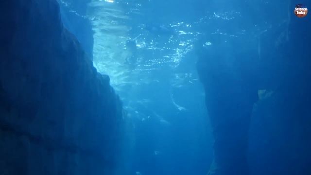 [News] New York City: Sinking Under its Own Weight? смотреть онлайн