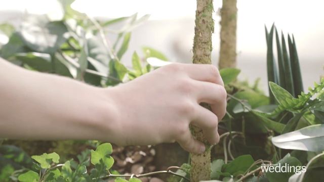 An Enchanting, Greenhouse-Inspired Tablescape | Take Your Seat | Martha Stewart Weddings смотреть онлайн