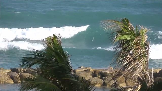 Jamaica, February 2017 смотреть онлайн