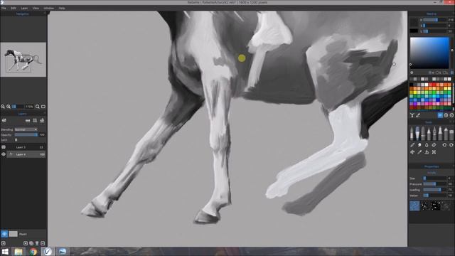 Rebelle - horse speedpainting смотреть онлайн