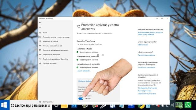 Como desactivar el antivirus windows defender windows 10 смотреть онлайн