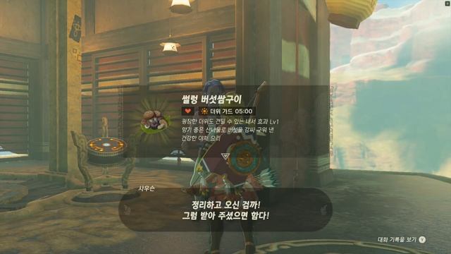 #Tears_of_the_Kingdom 043 겔드 캐니언 조망대:14, 동겔드 하늘제도 смотреть онлайн