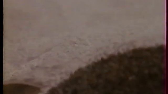Comme des bêtes. Jean Luret, Claude Piéplu. 1990 French animal mating documentary (re-capture) смотреть онлайн