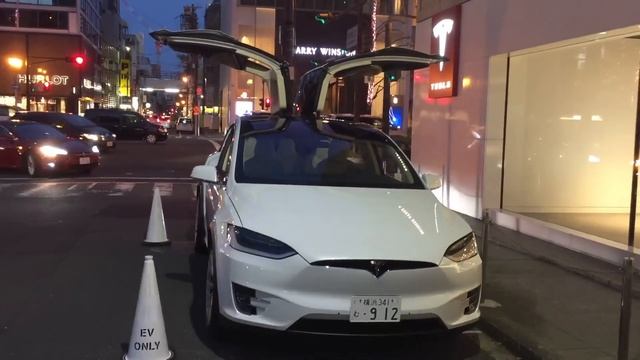 【Tesla】MODEL X Xmas Mode in Osaka Japan смотреть онлайн