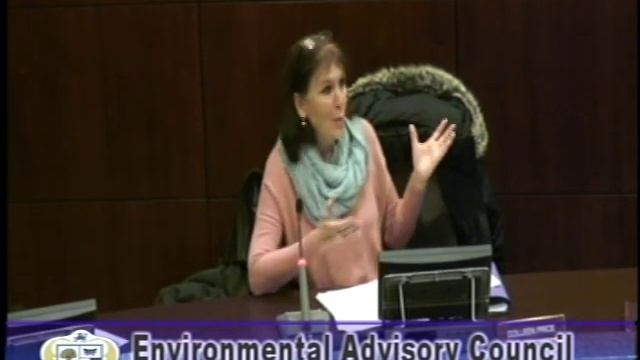 Environmental Advisory Council - March 28, 2019 смотреть онлайн