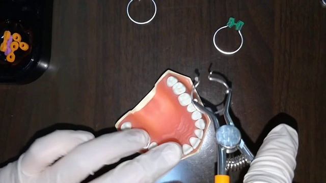 dental sectional contoured matrices kit-Chinese version смотреть онлайн