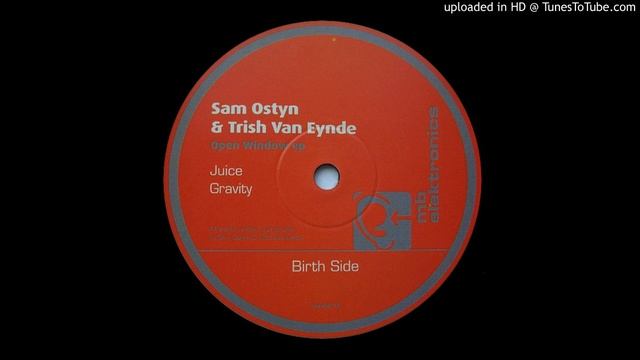 Sam Ostyn & Trish Van Eynde - Gravity смотреть онлайн