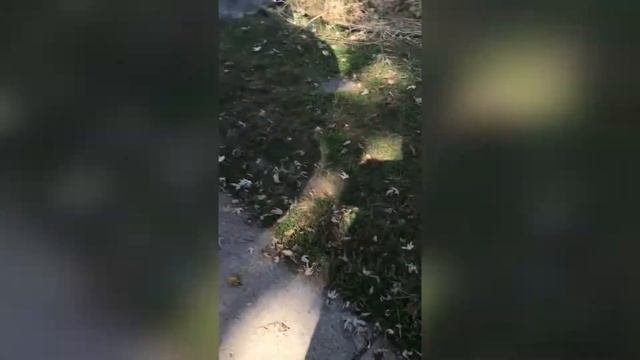 New car 🚙 detail Chrysler Aspen смотреть онлайн