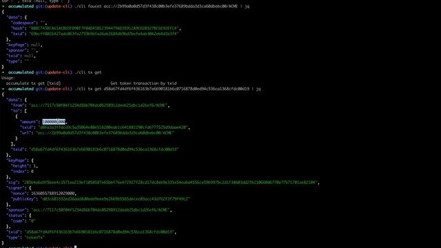 Accumulate Command Line Interface (CLI) Demo смотреть онлайн