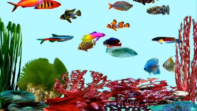 Aquarium смотреть онлайн