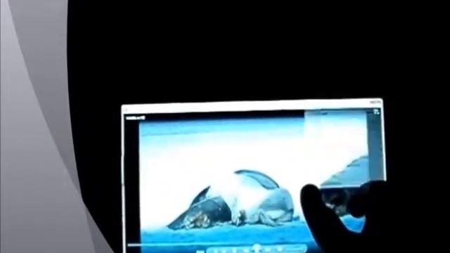 ML 30535486 смотреть онлайн