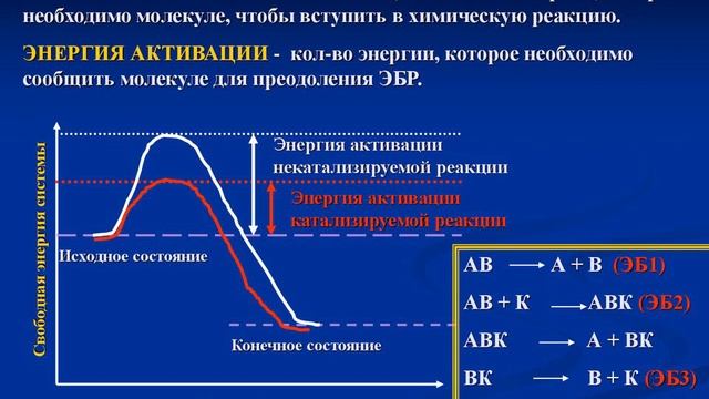 Зависимость скорости химической реакции от температуры смотреть онлайн