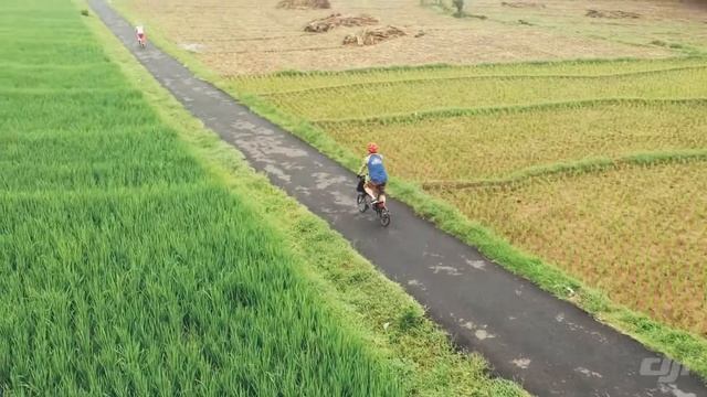 Brompton Ride made with DJI Go and DJI Spark смотреть онлайн