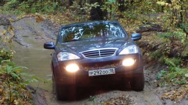 тертый пынь 7