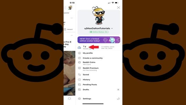 How to See Your Reddit Cake Day смотреть онлайн