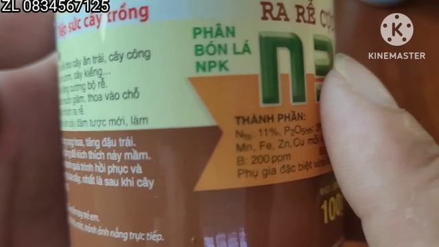 Loại nào mới thật sự kích rễ hiệu quả смотреть онлайн