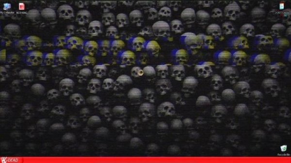 VIRUS CHECK WINDOWS XP HORROR!