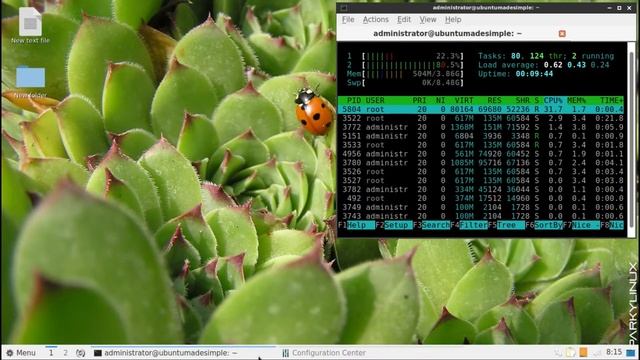SparkyLinux 5.5 LXQT Run Through смотреть онлайн
