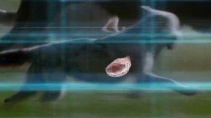 BBC. Твои весёлые друзья зверята 35 серия (документальный сериал, 2004-2009)