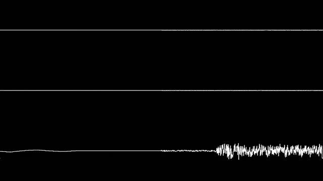 [C64] Axel F (SID cover) – oscilloscope view смотреть онлайн